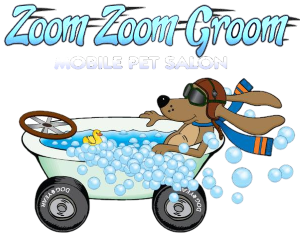 zoom and groom pet grooming